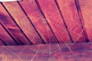 A spider web in the attic of a building evoking a mood of stillness